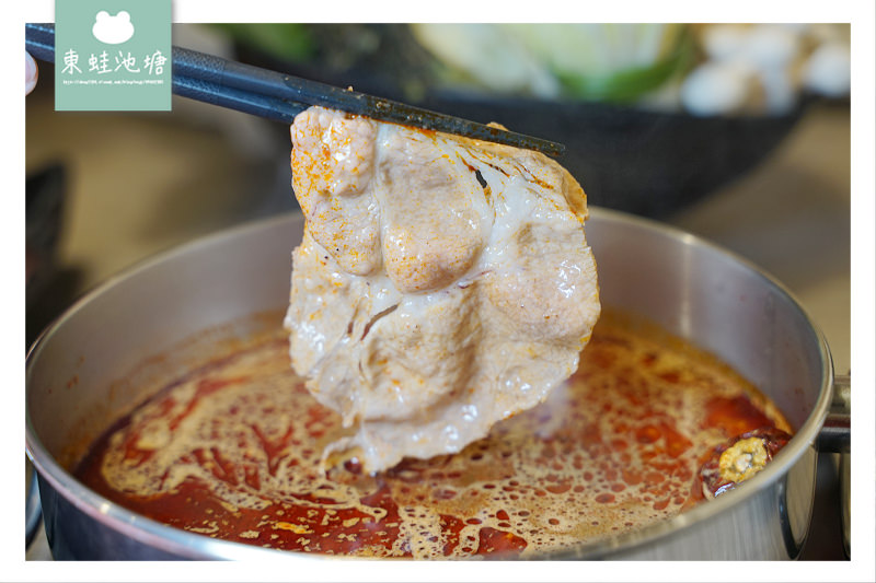 【蘆洲新開幕火鍋推薦】捷運徐匯中學站旁 海老皇饗宴 樂釜 Love Hot Pot 極上鍋物