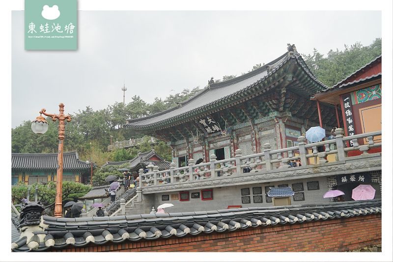 【釜山免費景點推薦】建於1376年 韓國三大觀音聖地之一 海東龍宮寺 해동 용궁사