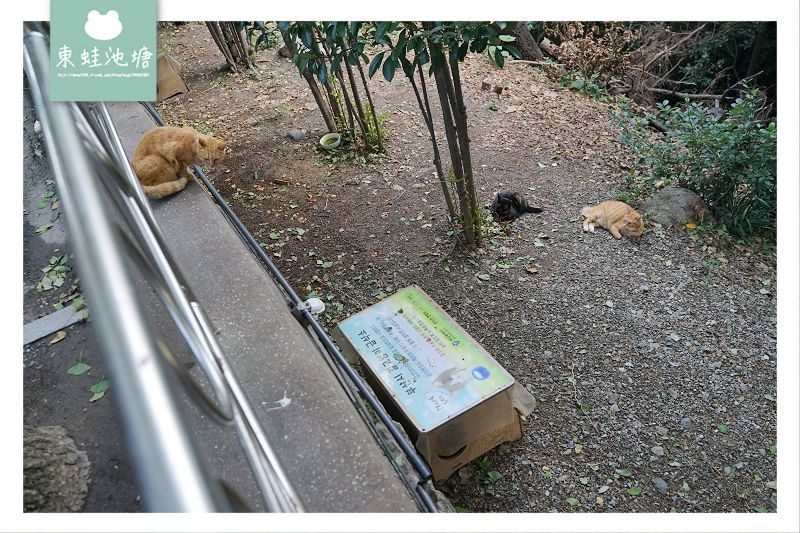 【釜山南浦洞免費景點推薦】釜山三大名山 釜山夜景好去處 龍頭山公園 용두산공원