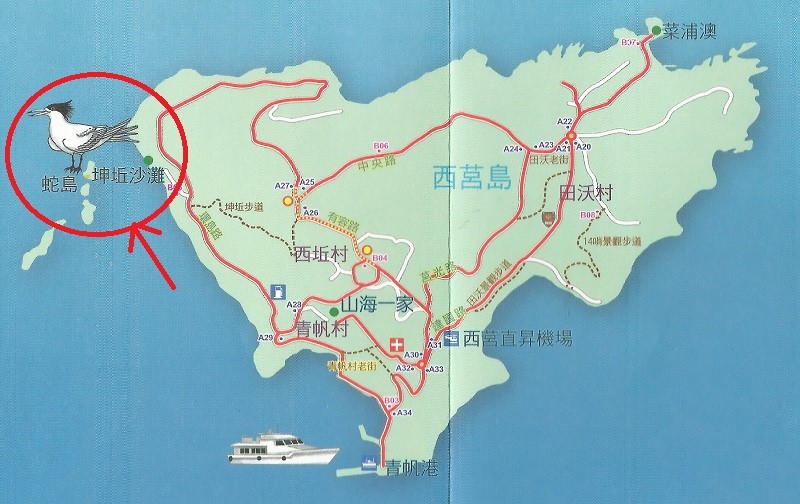 【馬祖西莒免費景點推薦】坤坵夕陽美景 蛇島燕鷗保護區 莒光方塊海