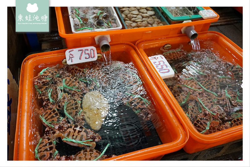 【新北萬里景點推薦】當地漁船主自產自銷 觀景平台龜吼漁港風光 龜吼漁夫市集