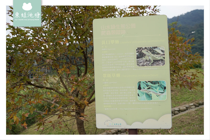 【台北南港免費景點推薦】擁抱自然踏青好去處 共融式兒童遊戲場玩雙道溜索