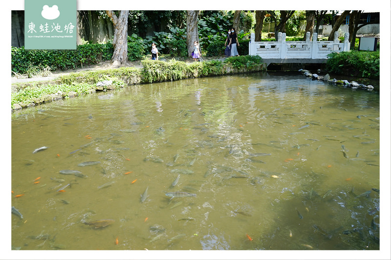 【台北士林天母免費景點推薦】木屑鋪面樹屋遊戲場 芝蘭八景番井沸泉 天和公園