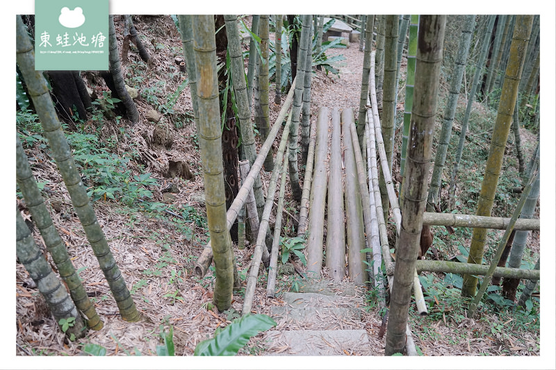 【嘉義梅山免費景點推薦】台灣版京都嵐山竹林小徑 瑞里綠色隧道