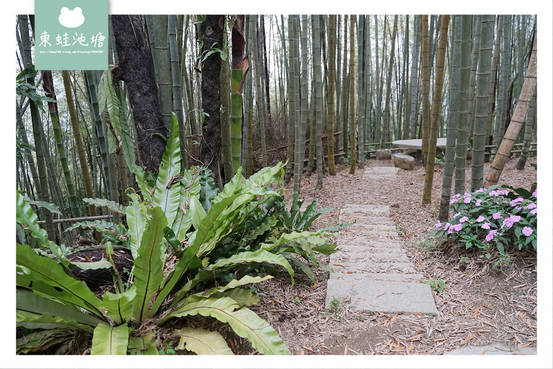 【嘉義梅山免費景點推薦】台灣版京都嵐山竹林小徑 瑞里綠色隧道