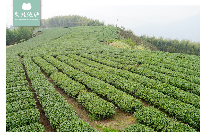 【嘉義梅山免費景點推薦】御茶園廣告拍攝地點 360度視野零死角 觀賞阿里山日出 海鼠山1314觀景台