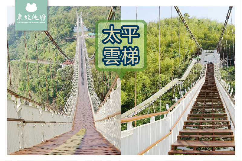 【嘉義阿里山景點推薦】海拔最高景觀吊橋 穿梭雲海故鄉 太平雲梯