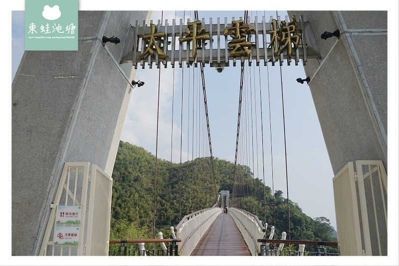 【嘉義阿里山景點推薦】海拔最高景觀吊橋 穿梭雲海故鄉 太平雲梯