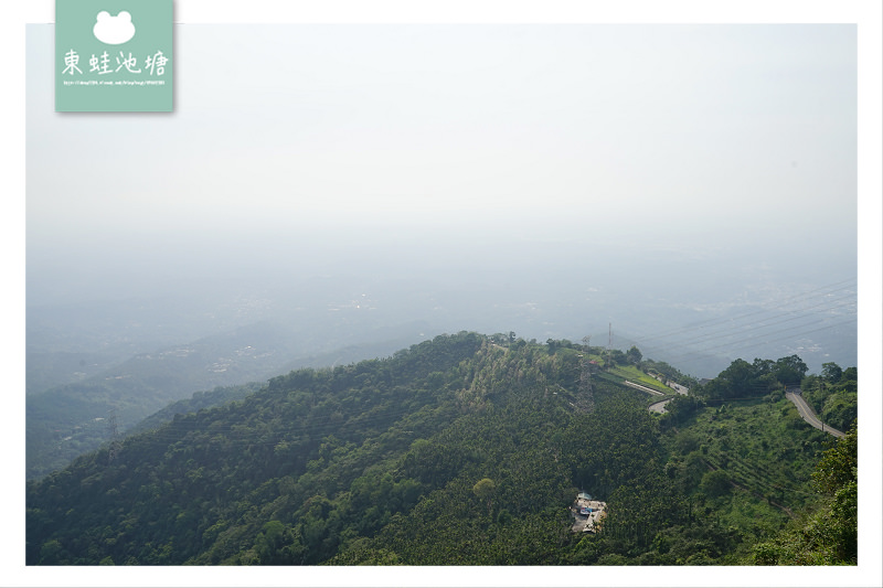 【嘉義阿里山景點推薦】海拔最高景觀吊橋 穿梭雲海故鄉 太平雲梯