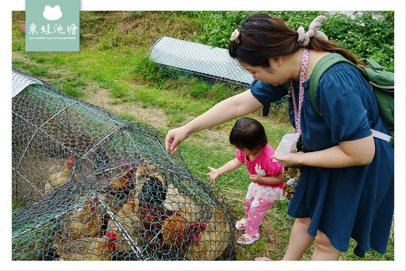 【宜蘭員山親子景點推薦】入園免門票 餵小羊喝奶奶 可達休閒羊場