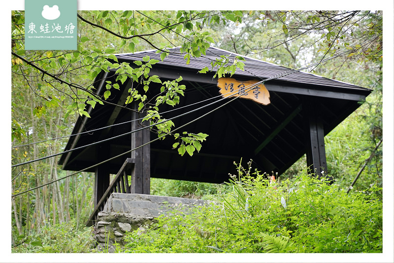 【台中一日遊景點推薦】台灣八景/三大林場之一 來回八小時主峰步道 八仙山國家森林遊樂區