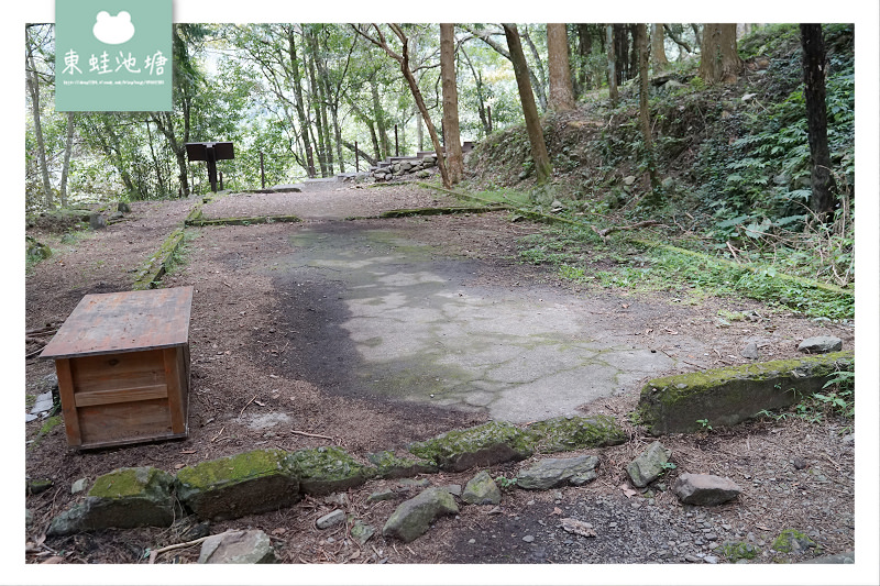 【台中一日遊景點推薦】台灣八景/三大林場之一 來回八小時主峰步道 八仙山國家森林遊樂區