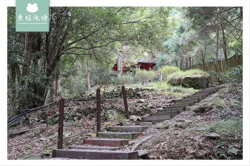 【台中一日遊景點推薦】台灣八景/三大林場之一 來回八小時主峰步道 八仙山國家森林遊樂區