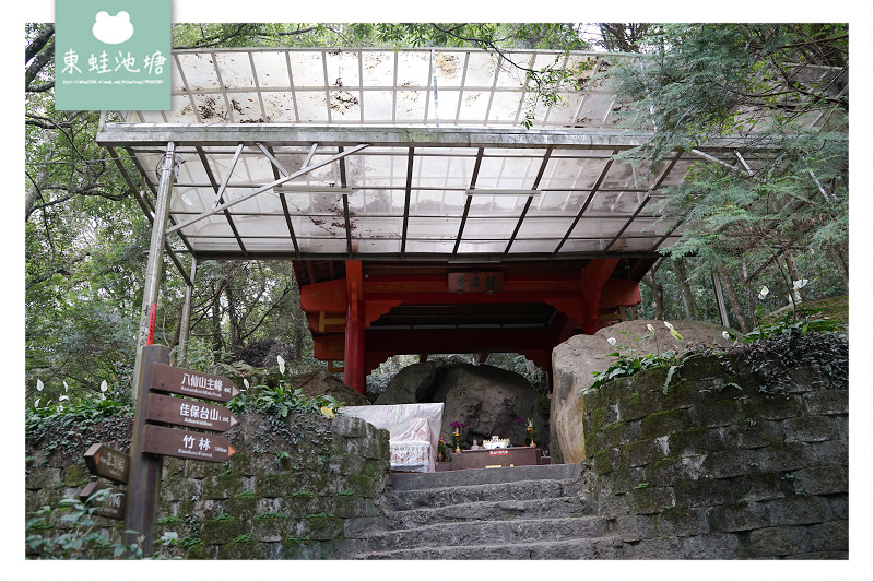 【台中一日遊景點推薦】台灣八景/三大林場之一 來回八小時主峰步道 八仙山國家森林遊樂區