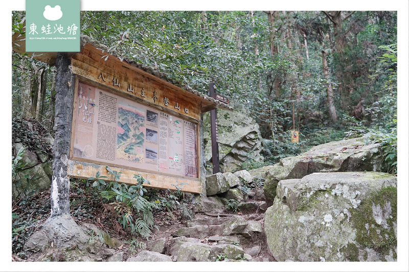 【台中一日遊景點推薦】台灣八景/三大林場之一 來回八小時主峰步道 八仙山國家森林遊樂區