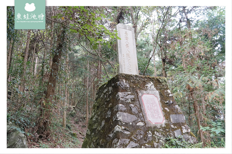 【台中一日遊景點推薦】台灣八景/三大林場之一 來回八小時主峰步道 八仙山國家森林遊樂區