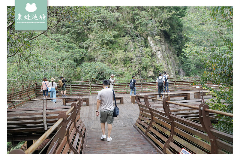 【台中一日遊景點推薦】台灣八景/三大林場之一 來回八小時主峰步道 八仙山國家森林遊樂區