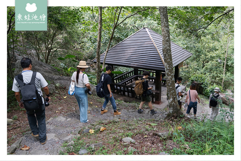 【台中一日遊景點推薦】台灣八景/三大林場之一 來回八小時主峰步道 八仙山國家森林遊樂區