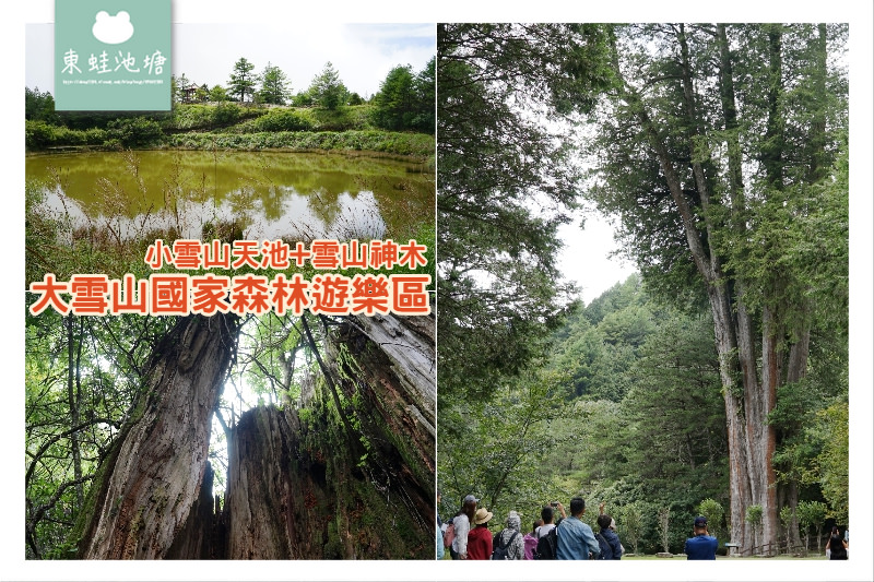 【台中一日遊景點推薦】絕美小雪山天池+雪山神木 大雪山國家森林遊樂區