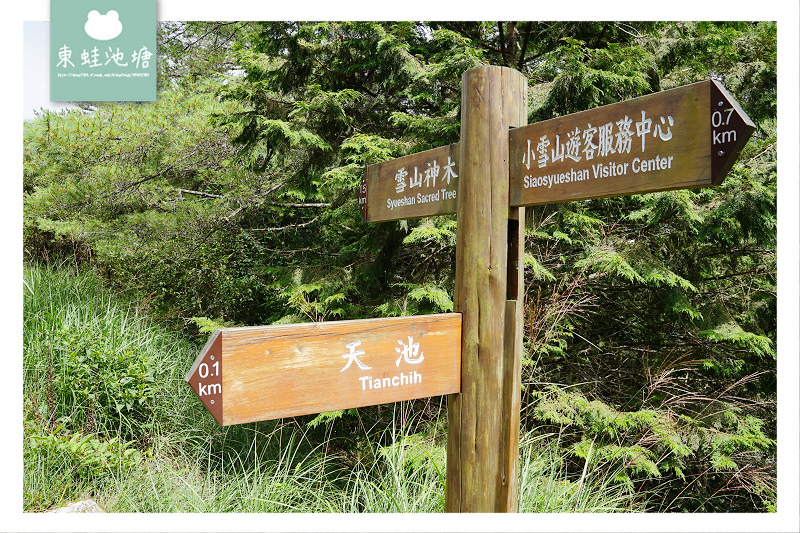 【台中一日遊景點推薦】絕美小雪山天池+雪山神木 大雪山國家森林遊樂區