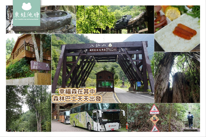 【幸福森在其中 森林巴士天天出發】八仙山/大雪山國家森林遊樂區 雄獅安心旅遊心得介紹