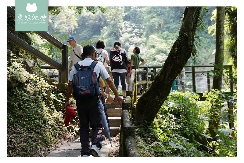 【新北烏來景點推薦】全台最高負離子含量 內洞國家森林遊樂區