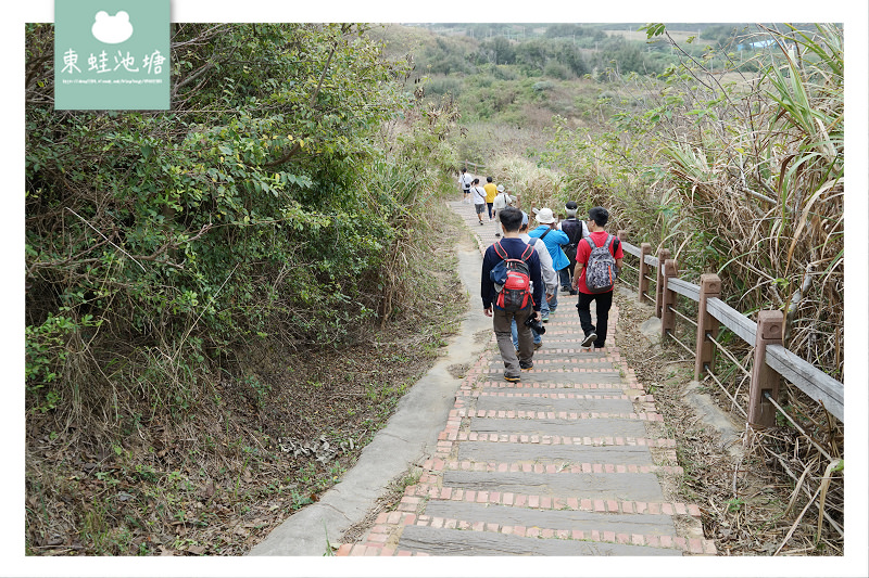 【苗栗後龍免費景點】好望角風景遊憩區 絕美海景眺望台 日治古隧道 過港貝化石層