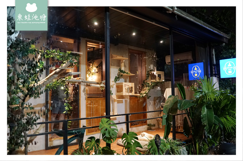 【台北貓咪餐廳推薦】無國界餐酒館 防疫除味清味門 醉貓 Drunk Cat 餐酒