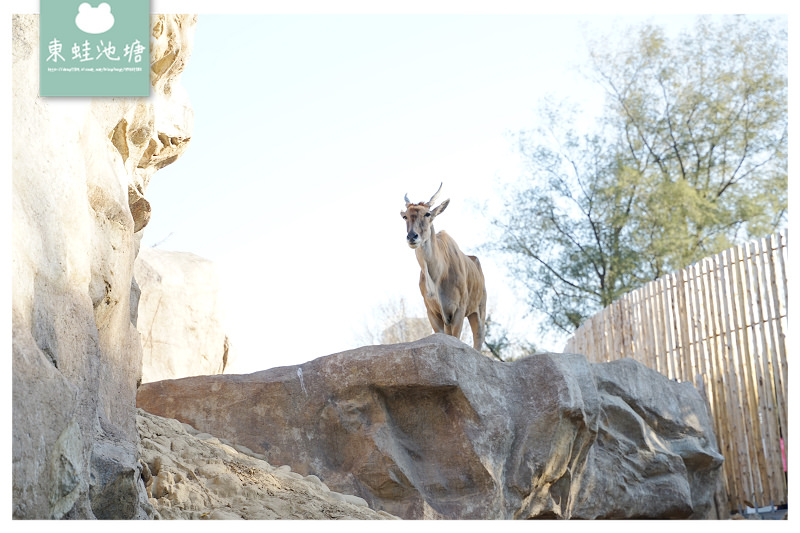 【新竹親子景點推薦】創立於民國25年 全台現存最老動物園 新竹市立動物園