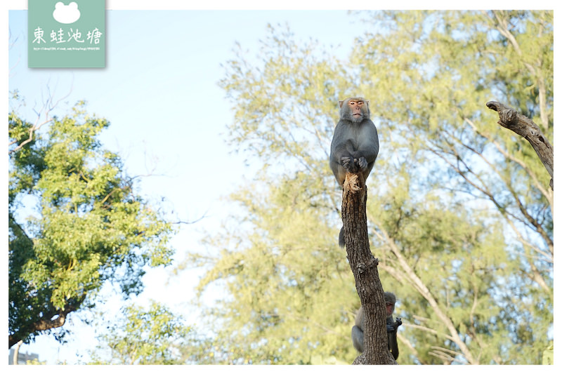 【新竹親子景點推薦】創立於民國25年 全台現存最老動物園 新竹市立動物園