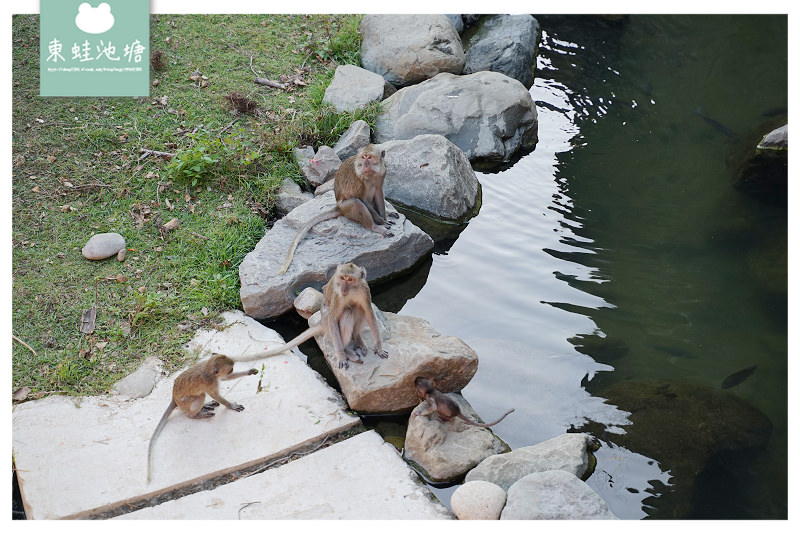 【新竹親子景點推薦】創立於民國25年 全台現存最老動物園 新竹市立動物園