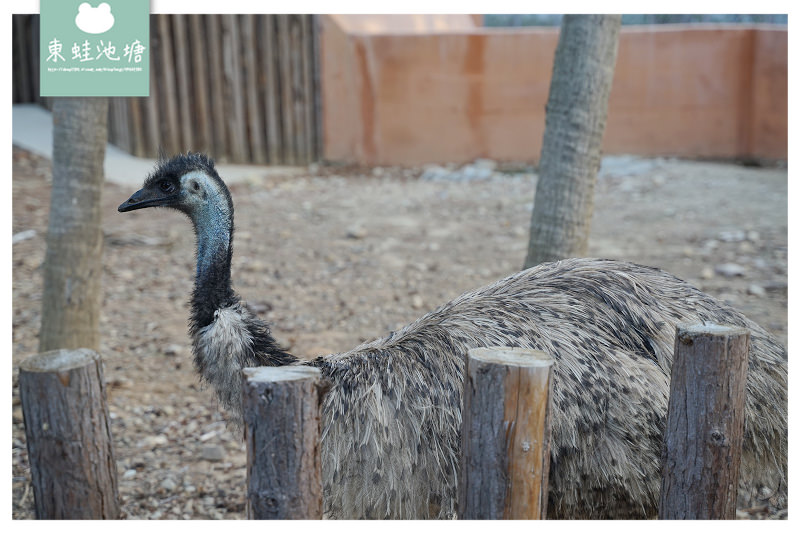 【新竹親子景點推薦】創立於民國25年 全台現存最老動物園 新竹市立動物園