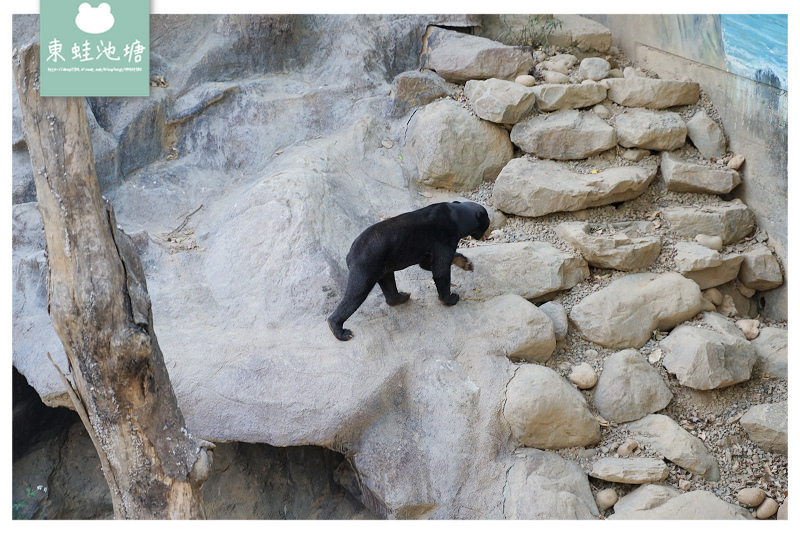 【新竹親子景點推薦】創立於民國25年 全台現存最老動物園 新竹市立動物園