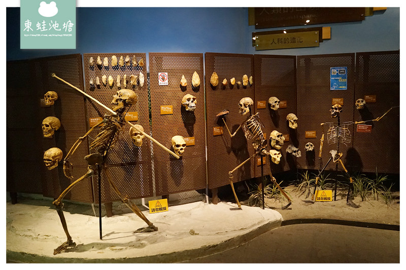 【台南室內景點推薦】新市區親子景點 台灣首座骨骼標本展示博物館 樹谷生活科學館