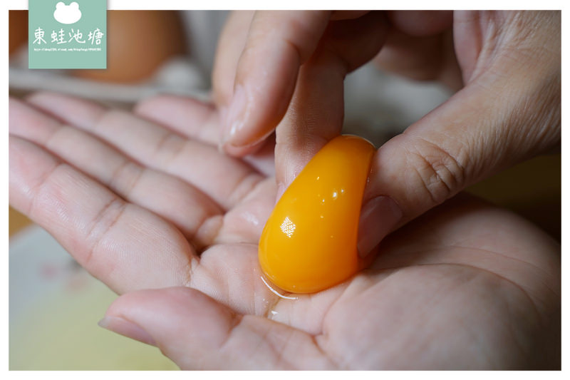 【雞蛋宅配推薦】桂園自然生態農場 能用手捏的蛋黃才夠新鮮
