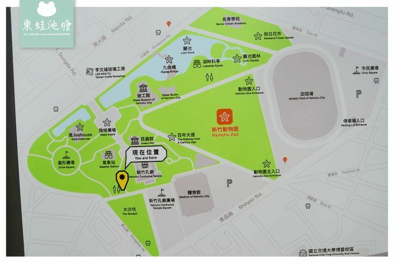 【新竹賞櫻好去處】2021超美河津櫻盛開綻放中 新竹公園/麗池公園