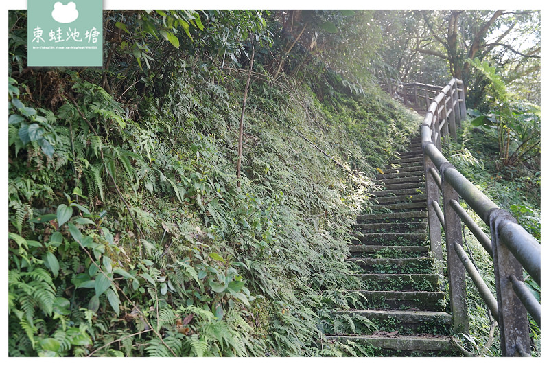 【瑞芳網美景點推薦】百餘年歷史一百階 日本天照大神猴硐神社