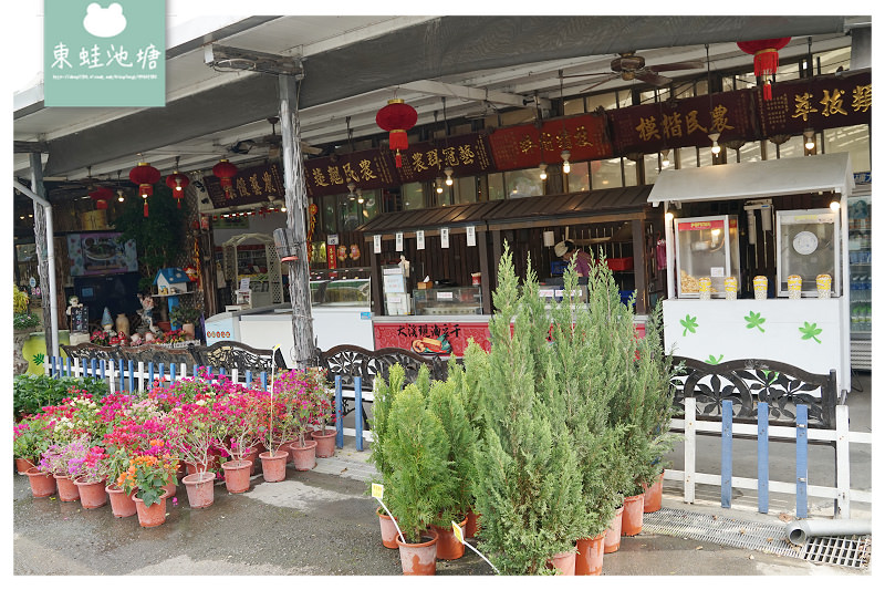 【桃園大溪免費景點推薦】免費入園花園農場 超實惠花草盆栽 天御花園