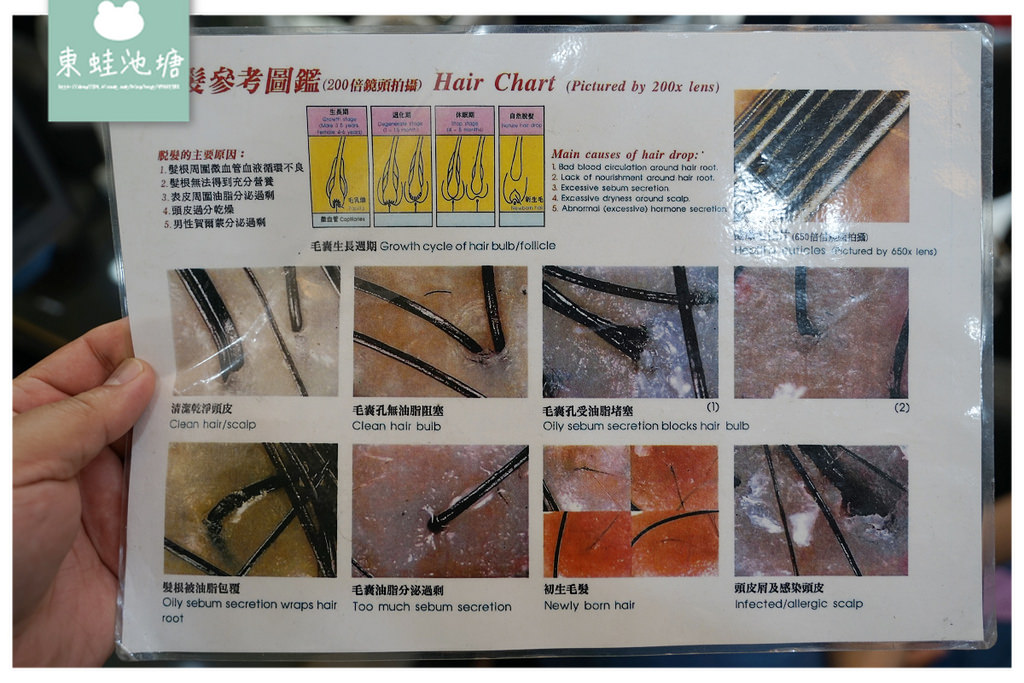 【台中髮廊推薦】母親節送禮推薦 風之晴髮型名店 染髮+頭皮護理
