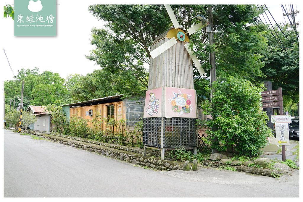 【桃園油桐花景點推薦】大溪賞桐花好去處 150年茄苳樹 十一指古道