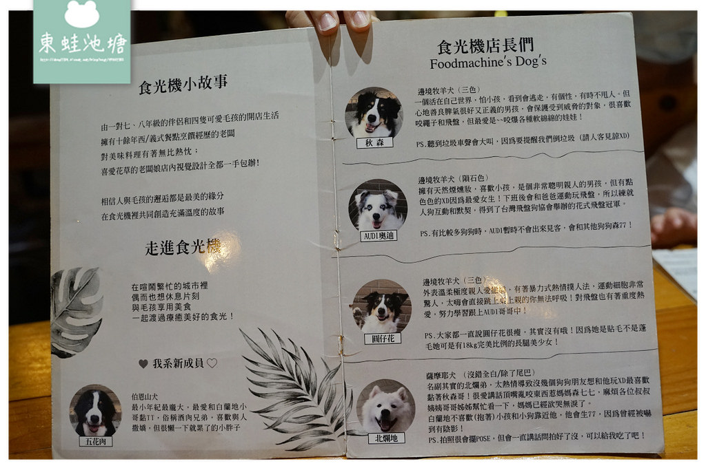 【內壢寵物餐廳推薦】大狗狗店長(伯恩山犬+邊境牧羊犬+薩摩耶犬) 美味燉飯咖哩飯 食。光機 Food Machine (寵物友善餐廳)