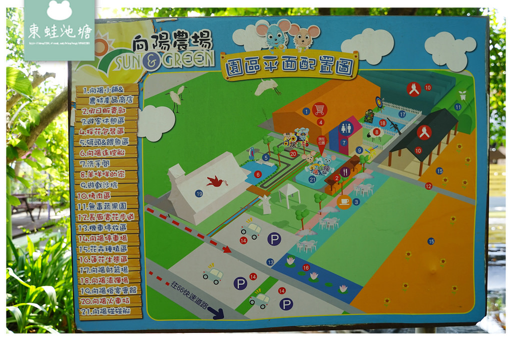 【桃園親子景點推薦】桃園觀音向日葵主題農場 夏日網美打卡景點 向陽農場Sun&Green