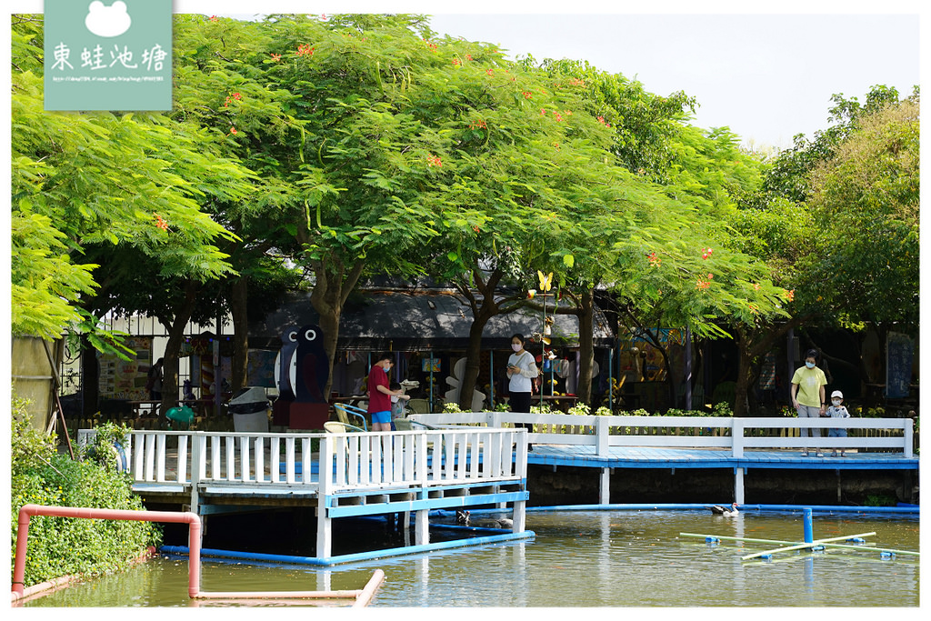 【桃園親子景點推薦】桃園觀音向日葵主題農場 夏日網美打卡景點 向陽農場Sun&Green