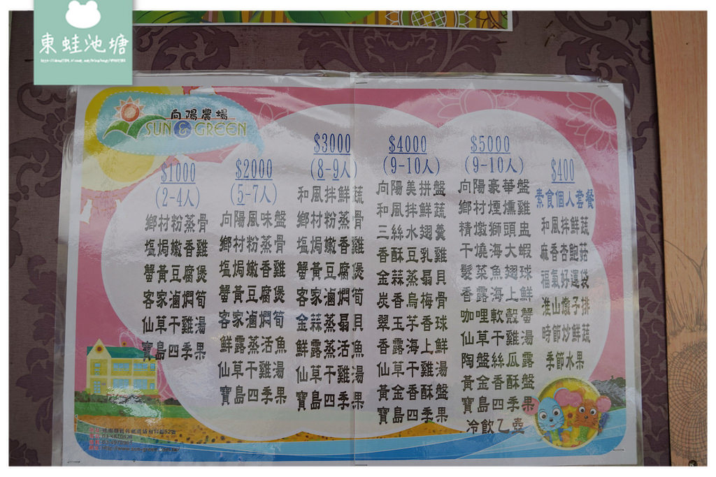 【桃園親子景點推薦】桃園觀音向日葵主題農場 夏日網美打卡景點 向陽農場Sun&Green