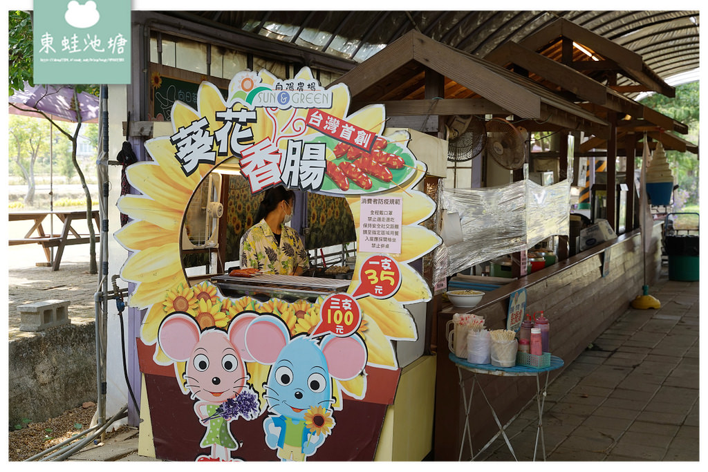 【桃園親子景點推薦】桃園觀音向日葵主題農場 夏日網美打卡景點 向陽農場Sun&Green