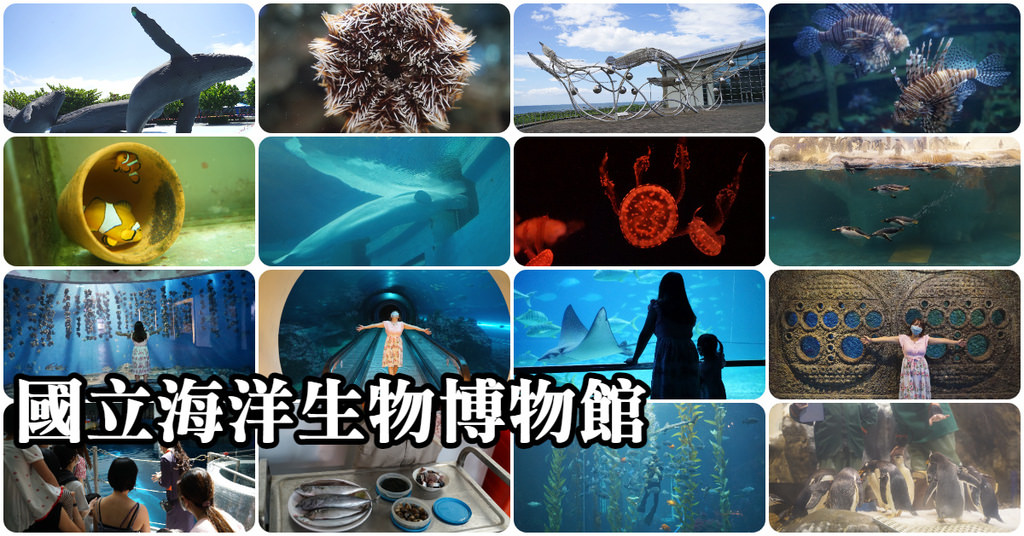 【屏東必訪親子景點推薦】海洋生物主題大型博物館 國立海洋生物博物館-海生館