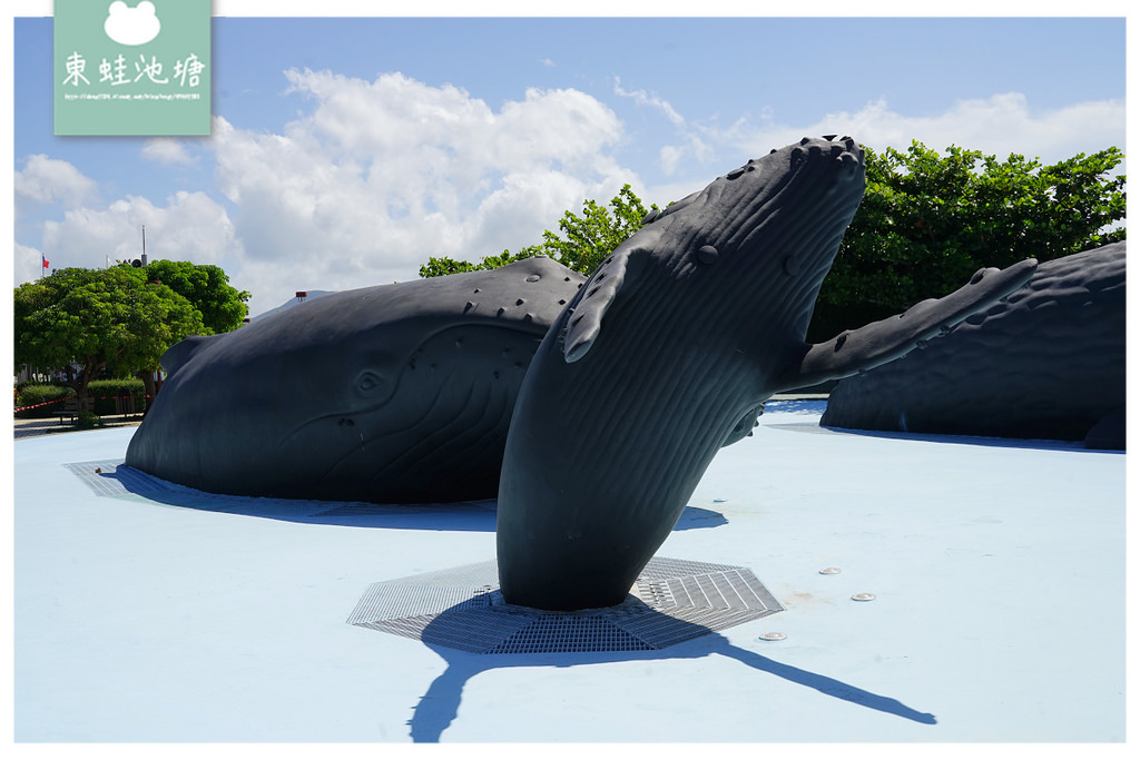 【屏東必訪親子景點推薦】海洋生物主題大型博物館 國立海洋生物博物館-海生館