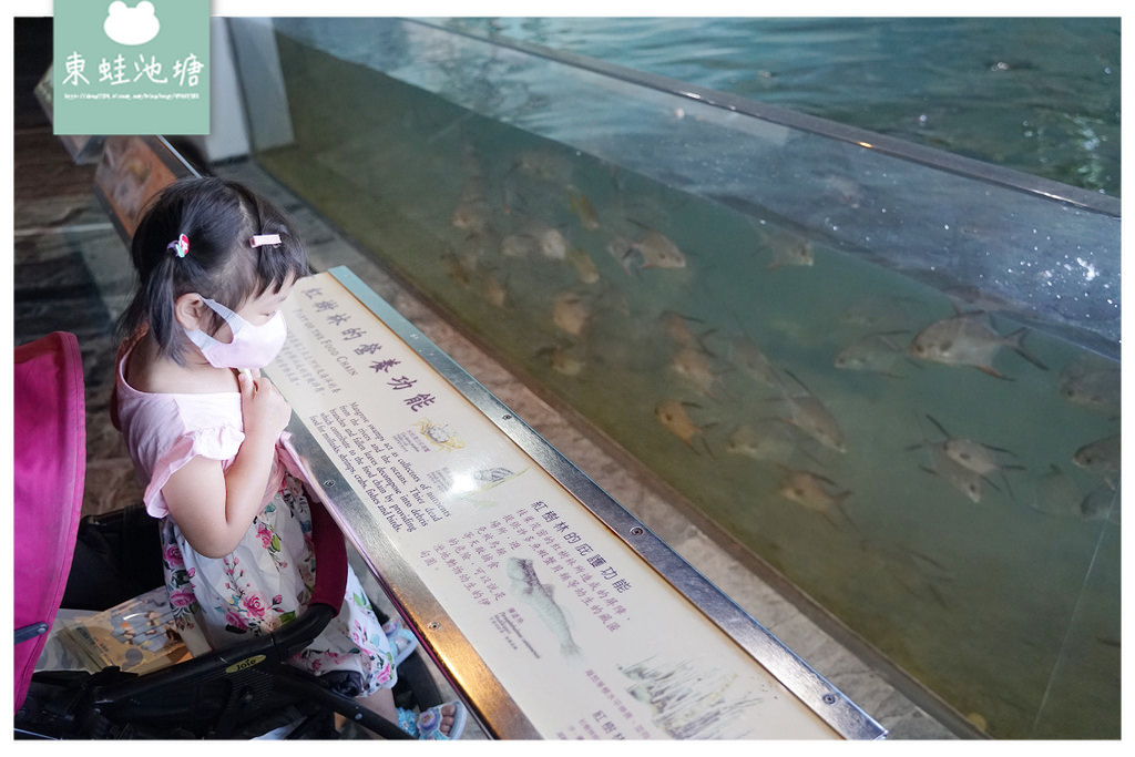 【屏東必訪親子景點推薦】海洋生物主題大型博物館 國立海洋生物博物館-海生館