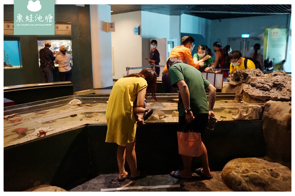 【屏東必訪親子景點推薦】海洋生物主題大型博物館 國立海洋生物博物館-海生館