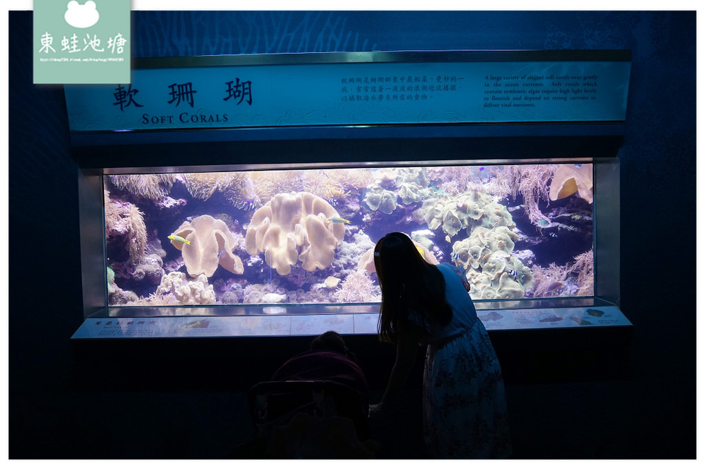 【屏東必訪親子景點推薦】海洋生物主題大型博物館 國立海洋生物博物館-海生館